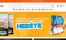 Evde Maksimum Hijyenin Anahtarı: Doğru Kedi Kumu Seçimi